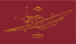 EDUARD R0021 1/72 P-51D Mustang in Royal Class range, Dual Combo